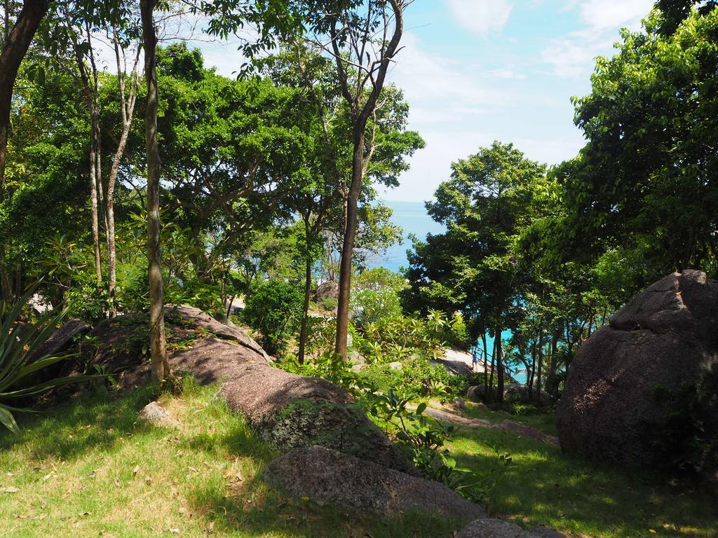 Ao Muong Beach Resort Koh Tao Exteriör bild